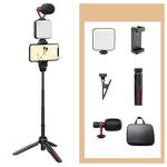 All-in-One Selfie Stick Tripod with LED Fill Light & Phone Mount Zeneroo